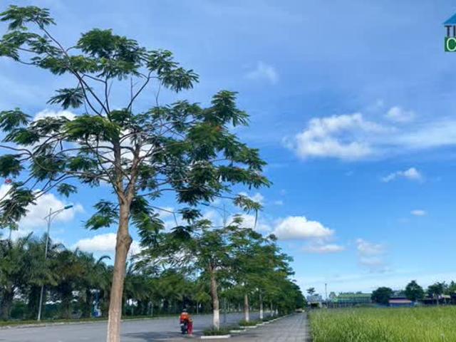 Tư vấn thủ tục miễn phí dự án NOXH Evergreen Tràng Duệ. Lh: 0976.244.376