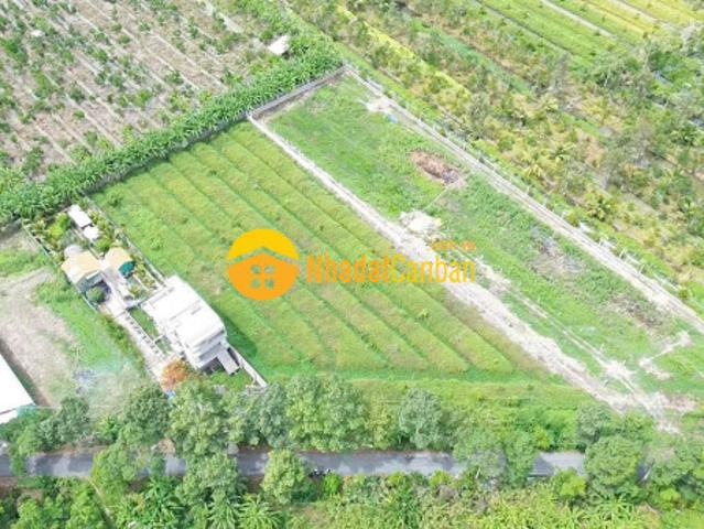 Đất vườn lộ cái chanh cách kdc đông phú tp cần thơ chỉ 1.5km