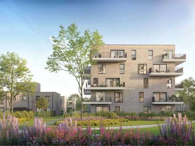 't Vierpark, omgeven door groen in het centrum van Zelzate