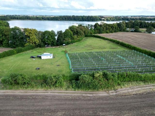 Tchórzono działka 12 500 m², Trzcińsko Zdrój