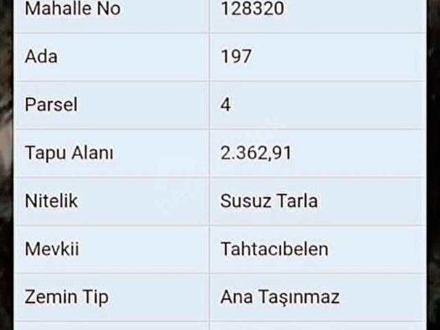 TAŞUCUNA 3KM UZAKLIKTA YOL KENARIMDA YATIRIMLIK
