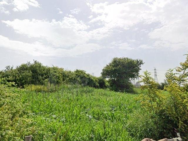 TAŞOLUK'TA SATILIK 450 M HİSSELİ KONUT İMARLI ARSA