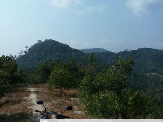 Taman Teluk Kumbar