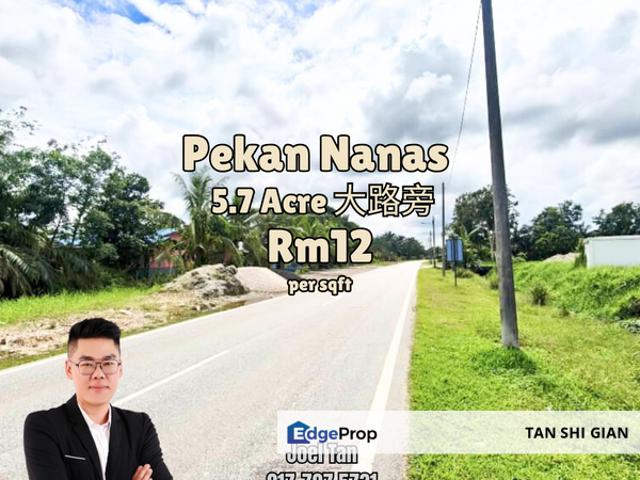 Taman Utama, Pekan Nanas