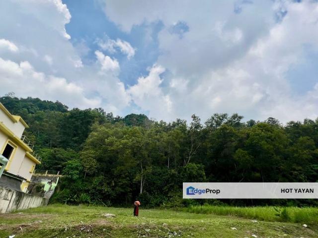 Taman Alam Damai