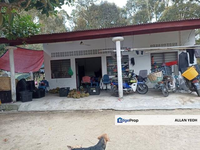 TAMAN BALIK PULAU FOKUS ESTATE SDN BHD