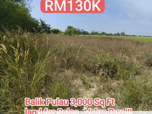 TAMAN BALIK PULAU FOKUS ESTATE SDN BHD