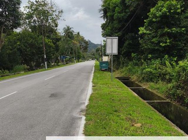 TAMAN BALIK PULAU FOKUS ESTATE SDN BHD