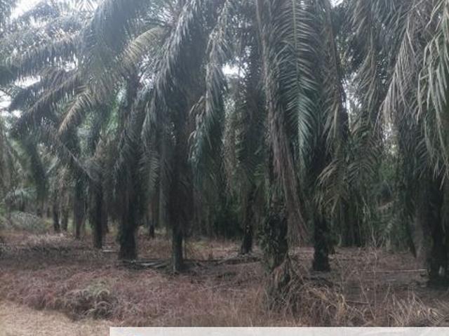 Taman Batu Pahat