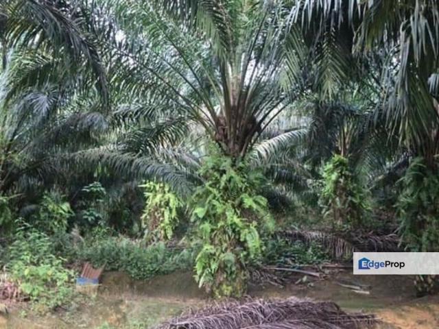 Taman Cheras Utama