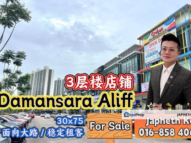 Taman Damansara Aliff