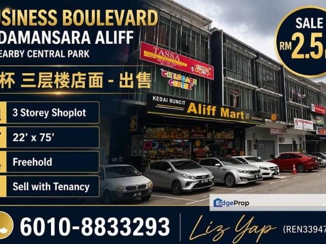 Taman Damansara Aliff