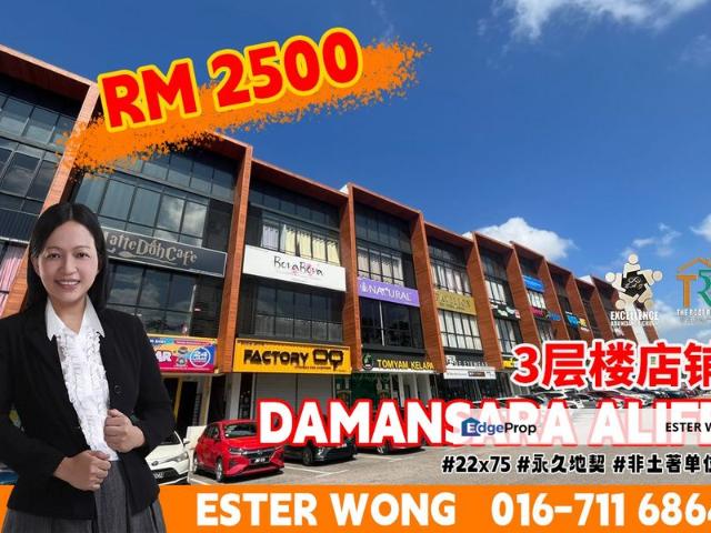Taman Damansara Aliff