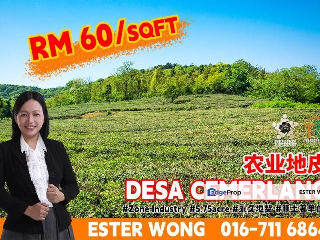 Taman Desa Cemerlang