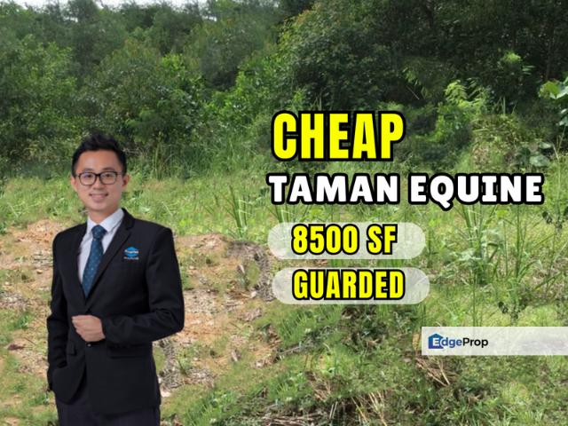 Taman Equine