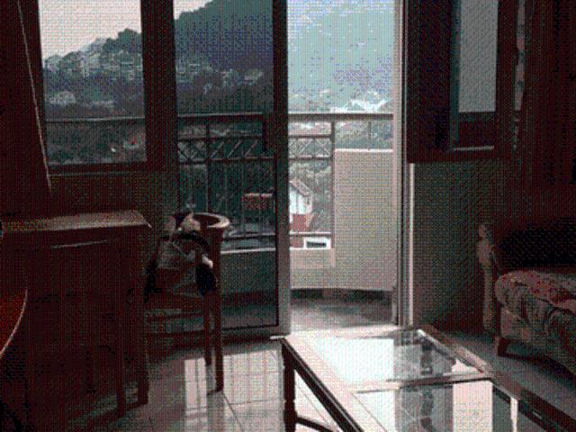 Taman Jubilee gelugor