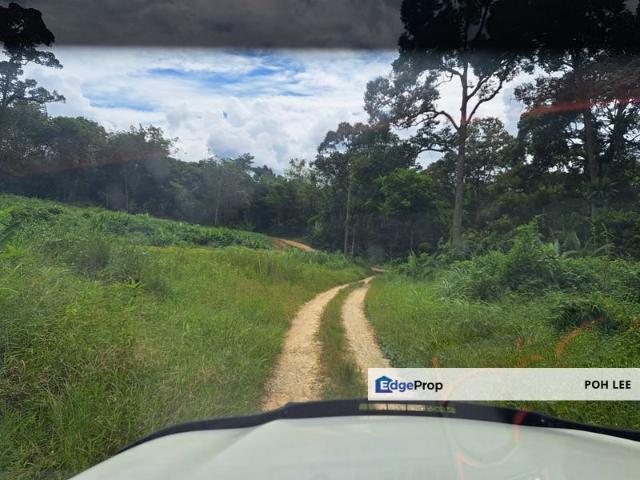 TAMAN KARAK