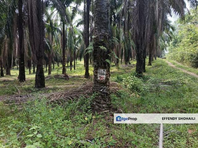 TAMAN KERDAU AMAN