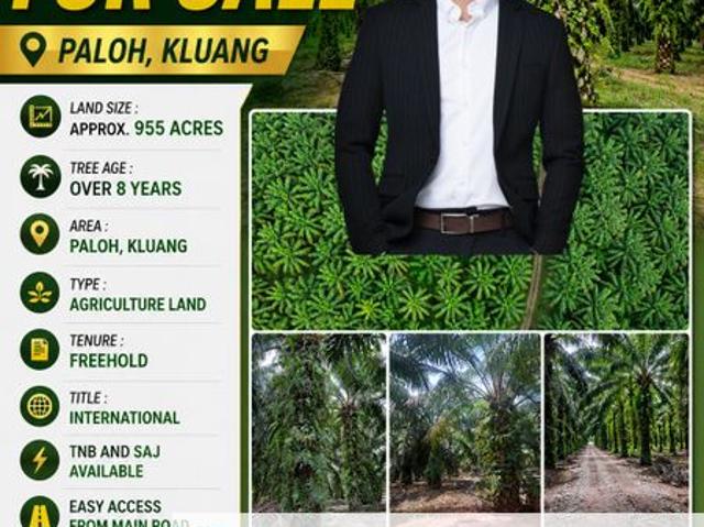 TAMAN KLUANG JAYA
