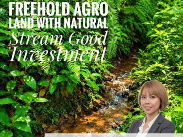 Taman Kuala Kangsar Freehold Agricultural Land With Natural Stream Good Investment