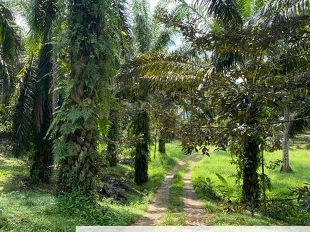 Taman Kulai