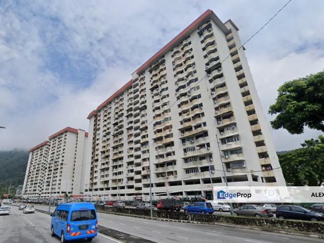 Taman Lone Pine