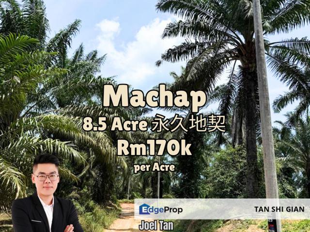 Taman Machap Jaya