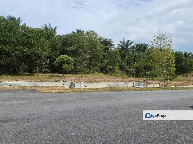 TAMAN MARLIN