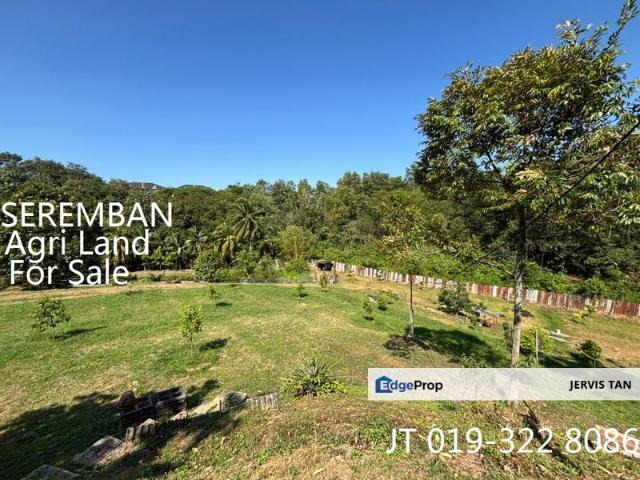 Taman Merpati