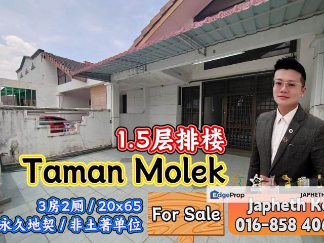 Taman Molek