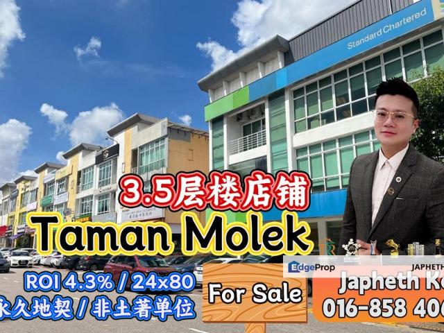 Taman Molek