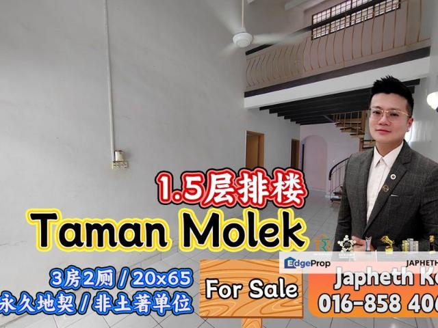 Taman Molek
