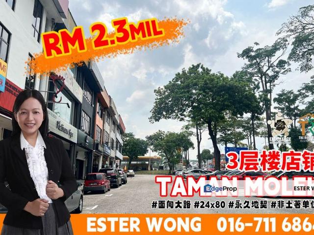 Taman Molek