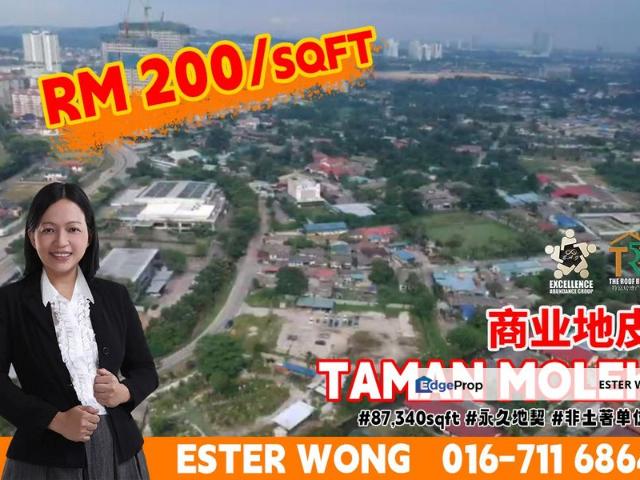 Taman Molek