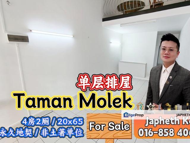 Taman Molek