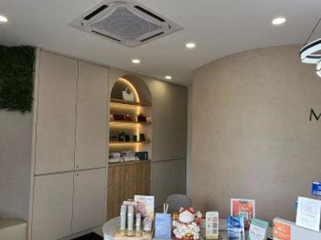 Taman Mount Austin Commercial