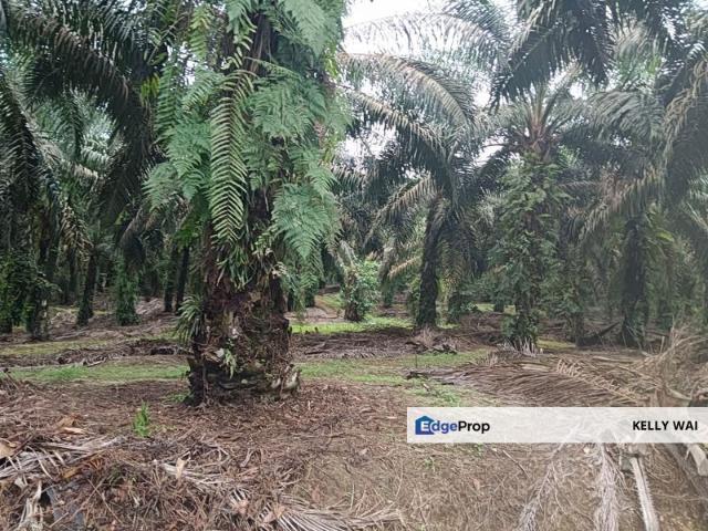 TAMAN NEGERI SEMBILAN