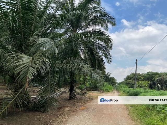 Taman Perindustrian Air Hitam Phase 1