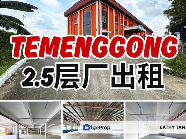 Taman Perindustrian Temenggong