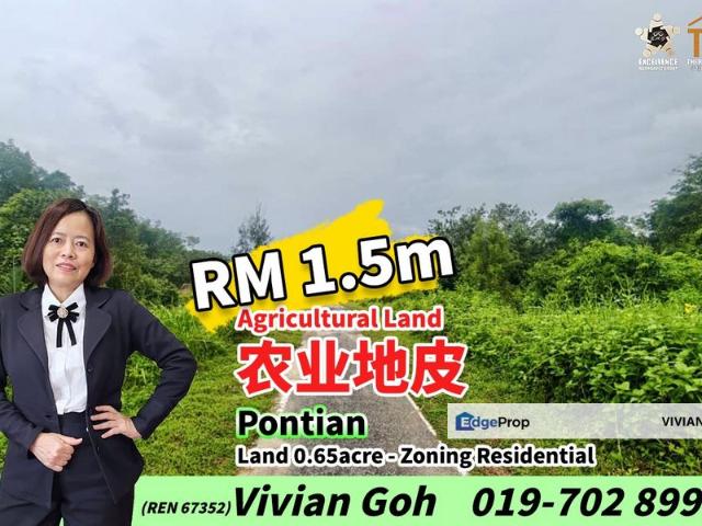 Taman Pontian Perdana