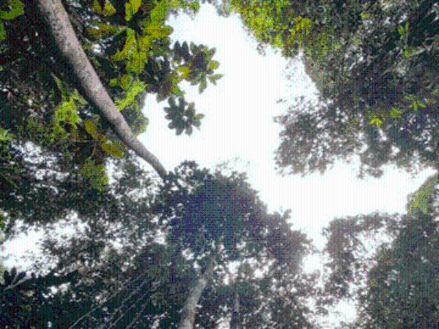 Taman Puncak Jalil