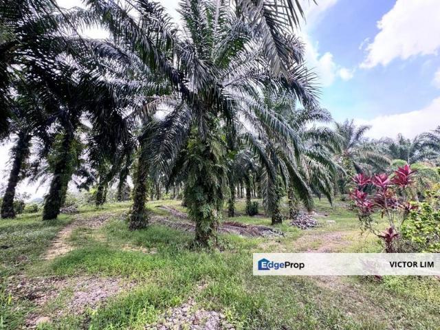 Taman Pulai Saujana 6 Acres Land