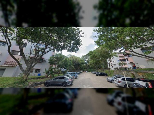 Taman Rinting, Flat Balau