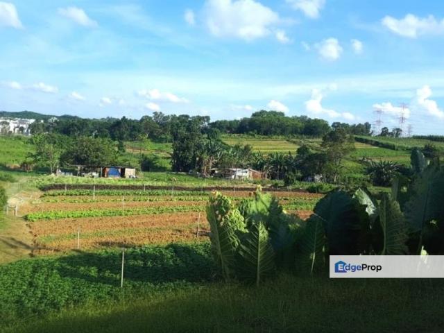 Johor Saleng Taman Sutera 12 Acres Zoning Commercial Land for SALE