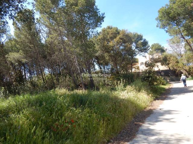 Tamariu, Parcela urbana de 865 m² con orientación sur a 1 km de la playa