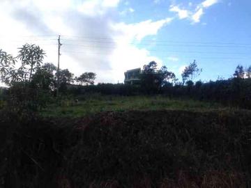 TAMBILLO VENDO LOTE DE 500m 22.500
