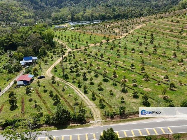 Tampin Freehold Durian Land @ Main Road For Sale