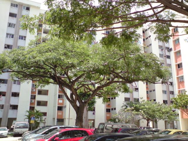 Tampines Street 21 Tampines, HDB 3 Rooms