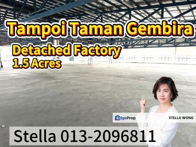 Tampoi