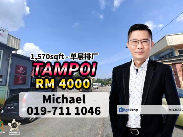 Tampoi